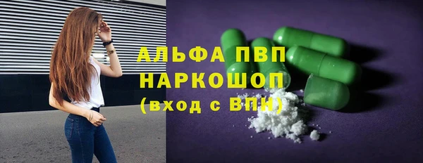 ПСИЛОЦИБИНОВЫЕ ГРИБЫ Осташков
