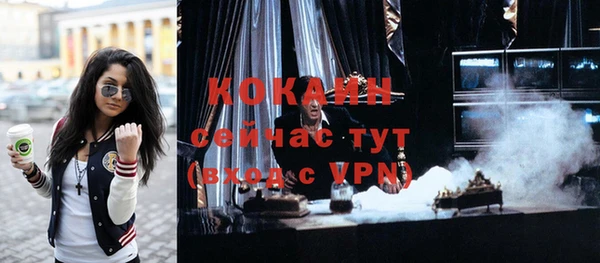 бошки Няндома