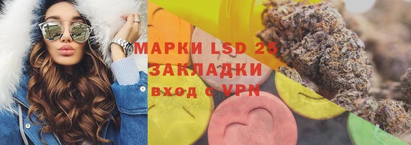 ПСИЛОЦИБИНОВЫЕ ГРИБЫ Осташков