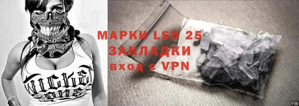 ПСИЛОЦИБИНОВЫЕ ГРИБЫ Осташков