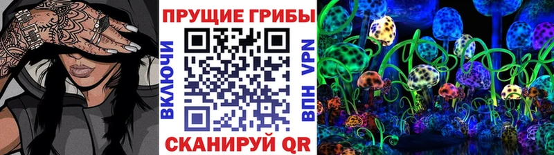 даркнет состав  Камбарка  Галлюциногенные грибы прущие грибы 